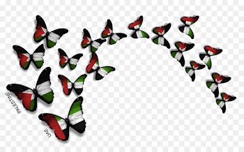 Dubai Baghdad Butterfly Palestine Intifada - uae 