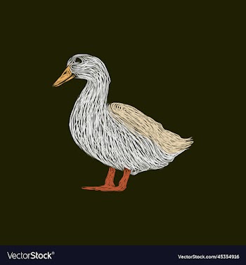 duck animal artwork style design
