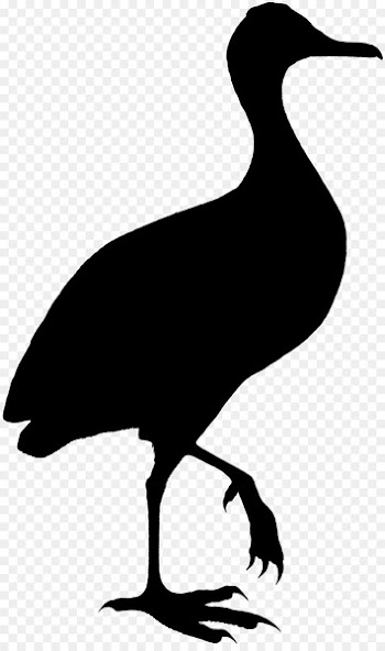 Duck Bird Goose Crane Clip art -  