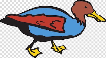 Duck Bird Mallard , Walking colored duck transparent background PNG clipart