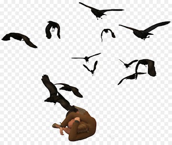 Duck Bird migration Clip art Fauna - duck 