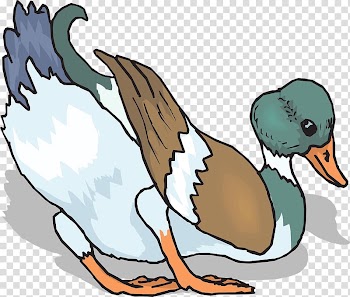 Duck Bird Pixabay, Colored duck transparent background PNG clipart