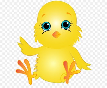 Duck Bird Swan Goose Beak - Chicken PNG Clip Art Image 