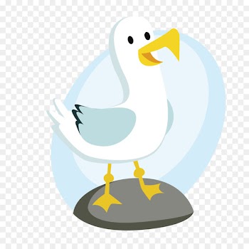 Duck Bird Vector graphics Portable Network Graphics Image - cute duck 