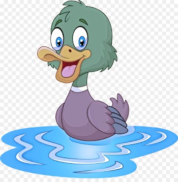 duck cartoon bird ducks, geese and swans water bird