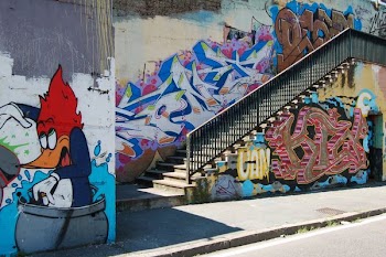 duck cartoon character standing on barrel and multicolored graffiti