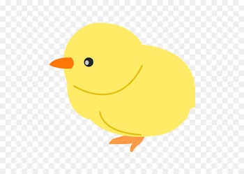 Duck Clip art Chicken Illustration Kifaranga - duck 
