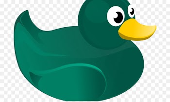 Duck Clip art Cygnini Adobe Illustrator Image - duck 