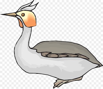 Duck Clip art Goose Bird Vector graphics - duck 
