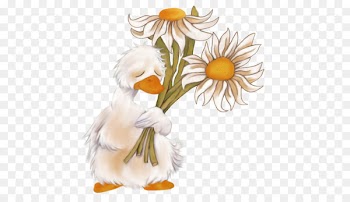 Duck Clip art Image GIF Chicken - duck 