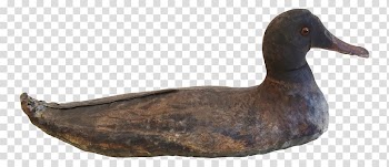 Duck decoy Folk art Hunting, hand painted mid-autumn transparent background PNG clipart