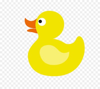 Duck Drawing Clip art - Cartoon duck 