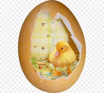Duck Easter Eggshell - Duck House 