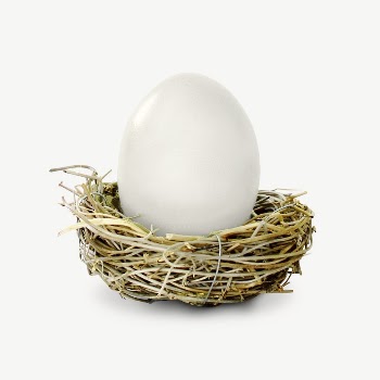 Duck egg collage element, isolated | Free PSD - rawpixel
