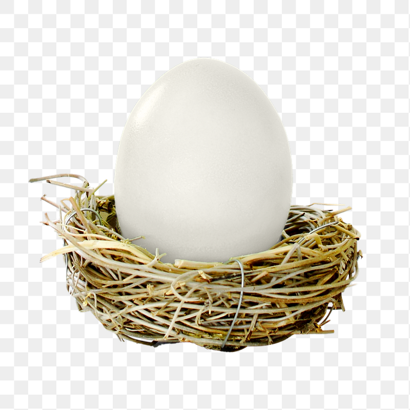 Duck egg png sticker, transparent | Free PNG - rawpixel