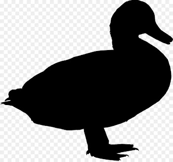 Duck Goose Clip art Fauna Fowl -  