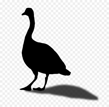 Duck Goose Clip art Fauna Silhouette -  
