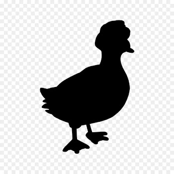 Duck Goose Clip art Silhouette Fauna -  