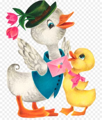 Duck Goose Easter Bunny Cygnini Bird - duck 