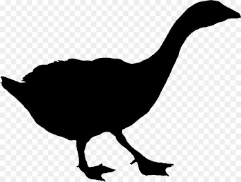 Duck Goose Landfowl Clip art Fauna -  