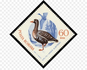 Duck Goose Sbeitla 0 Postage Stamps - duck 