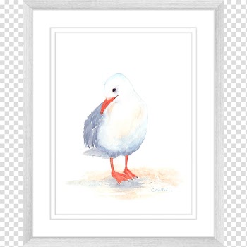 Duck Gulls Seabird Fauna Watercolor painting, duck transparent background PNG clipart