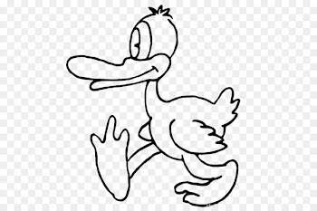 Duck Mallard Bird Waterfowl Grey Geese - arraial vector 