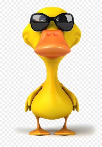 Duck Mallard Stock photography Stock illustration Royalty-free - Cartoon duck pictures 