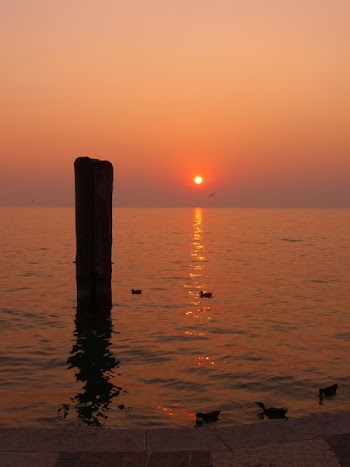 Duck on Body of Water Silhouette of Black Pillar during Golden Hour
