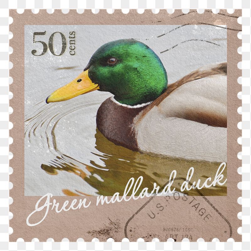 Duck png post stamp sticker, | Free PNG - rawpixel