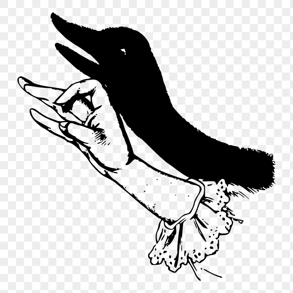 Duck png shadow puppet sticker | Free PNG - rawpixel