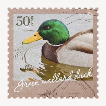 Duck postage stamp, animal collage | Free PSD - rawpixel