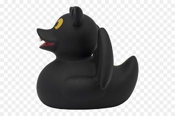 Duck, Rubber Duck, Toy, Rubber Ducky, Bird PNG