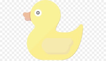 duck rubber ducky yellow bird ducks, geese and swans