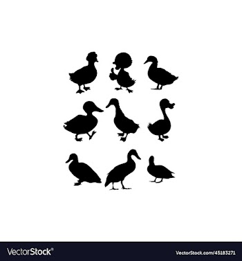 duck set animal silhouette icon