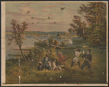 Duck shooting in Minnesota | Free Photo - rawpixel