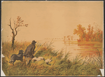 Duck shooting on the [...] | Free Photo - rawpixel