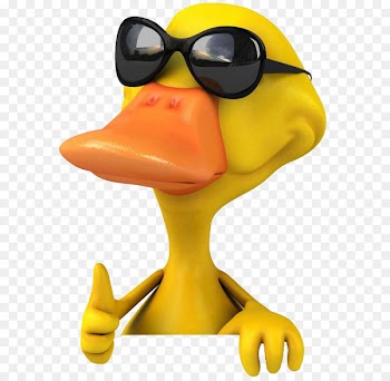Duck Stock photography Download - 3D Duck 