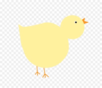 Duck, Swans, Goose, Bird, Beak PNG