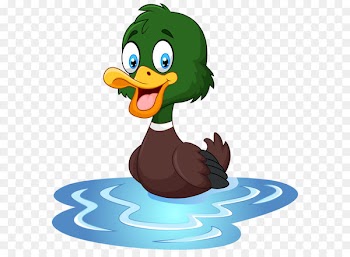 Duck T-shirt Cartoon Waterfowl Illustration - Duck PNG Clip Art Image 