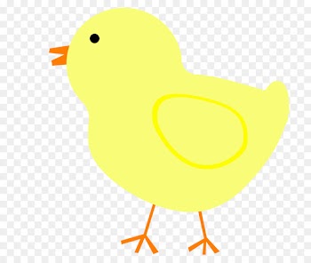Duck Water bird Chicken Anatidae - easter chick 