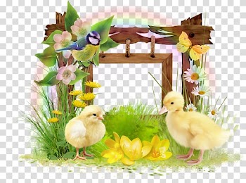 Duck Watercolor painting Cuteness, Cute hand painted little duck border material transparent background PNG clipart