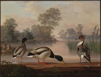 Ducks, 1853, Magnus Von Wright | Free Photo - rawpixel