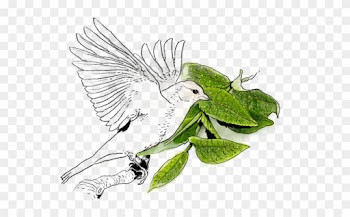 Due To Its History And Wealth, Passing Through The - Wood Thrush