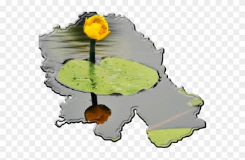 Due To Its Outstanding Natural Resources, Wonderful - Pond