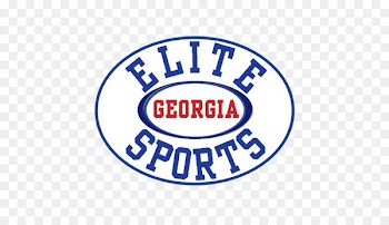 Duluth Elite Sports Georgia, Inc Norcross Volleyball - others 