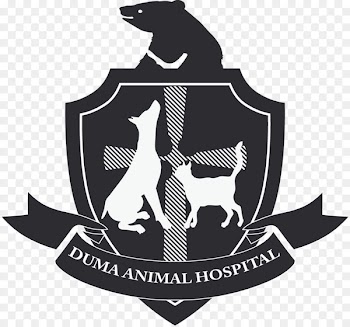 Duma Animal Hospital Cat Physician Lane 86, Minquan Road Dog - aboriginal design element 