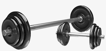 Dumbbell Drawing Weight Bar - Weights Png PNG Image | Transparent ...