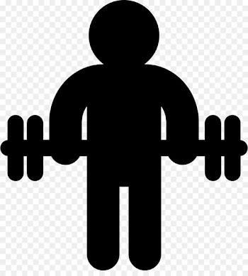 Dumbbell Fitness centre Physical fitness Exercise - dumbbell 