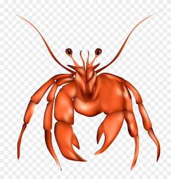 Dungeness Crab Lobster Clip Art - Dungeness Crab Lobster Clip Art